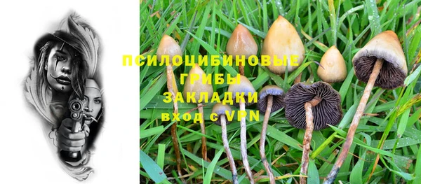 дживик Зеленодольск
