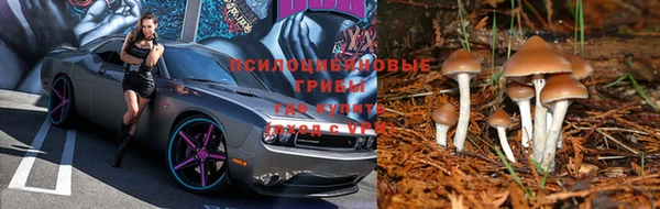 кристаллы Зерноград