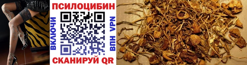 Купить закладки  Дубовка  Псилоцибиновые грибы мицелий 